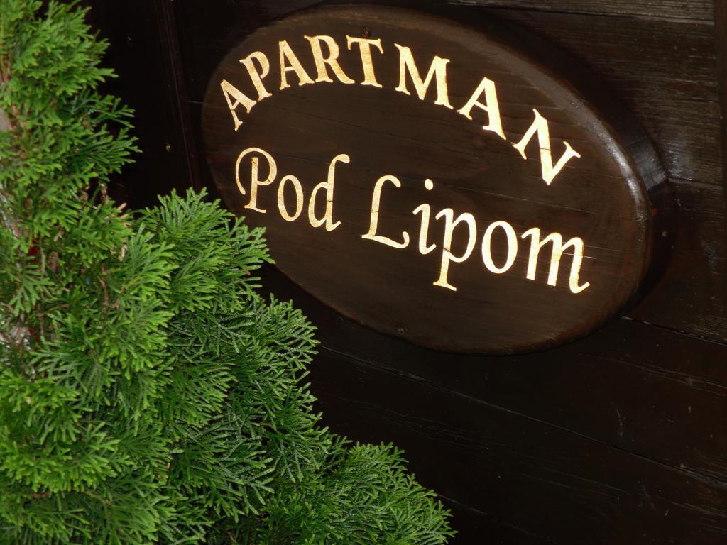 Apartment Pod Lipom Roc Номер фото
